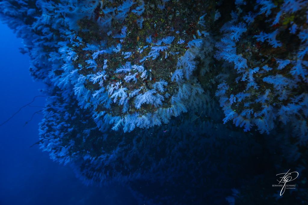 Fiji