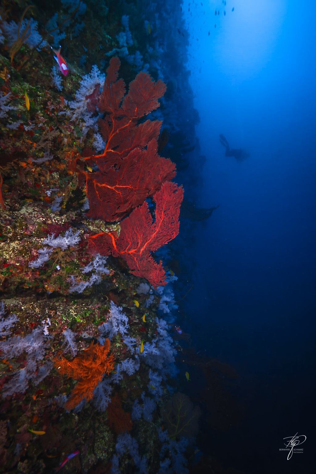 Fiji