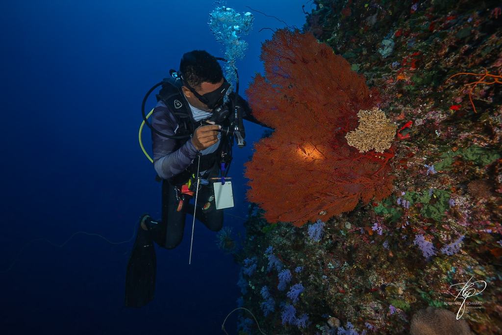 Fiji