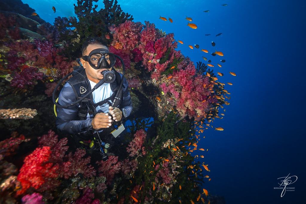 Rainbow Reef Fiji
