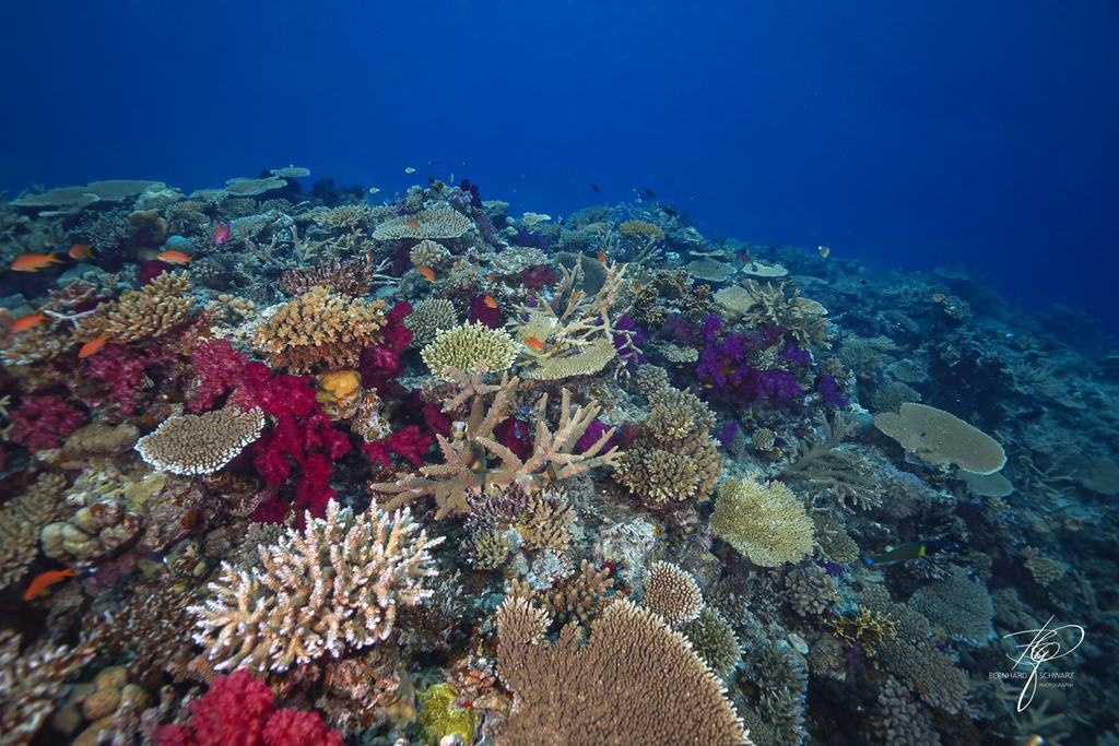 Fiji