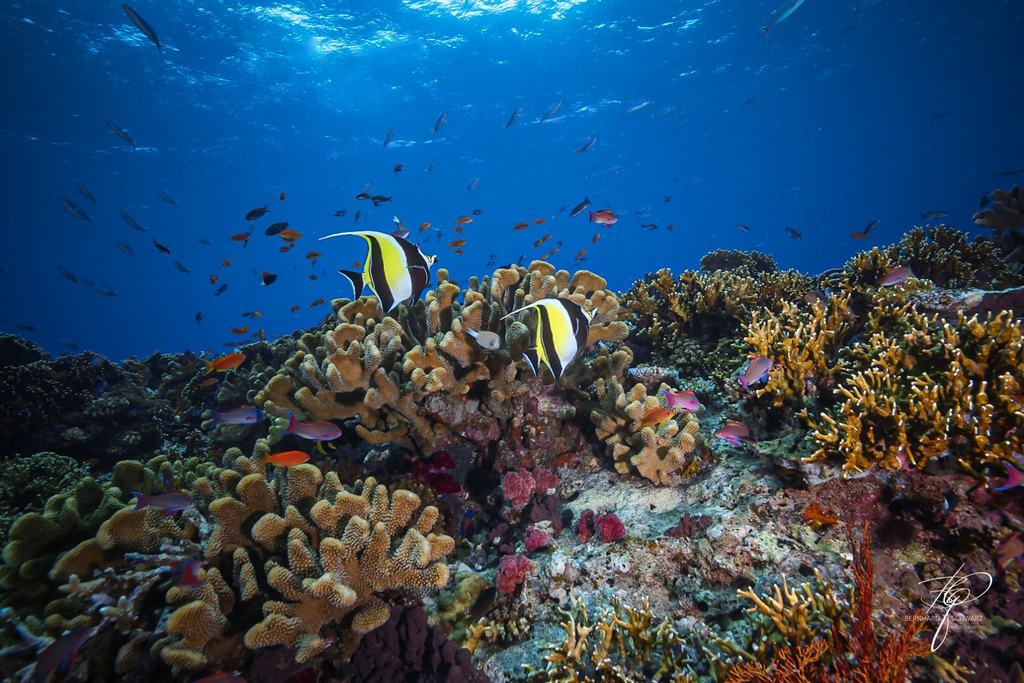 Fiji