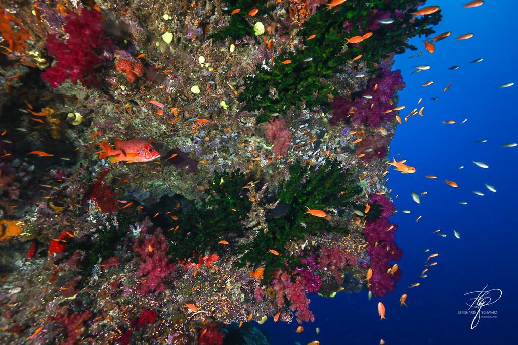 Fiji