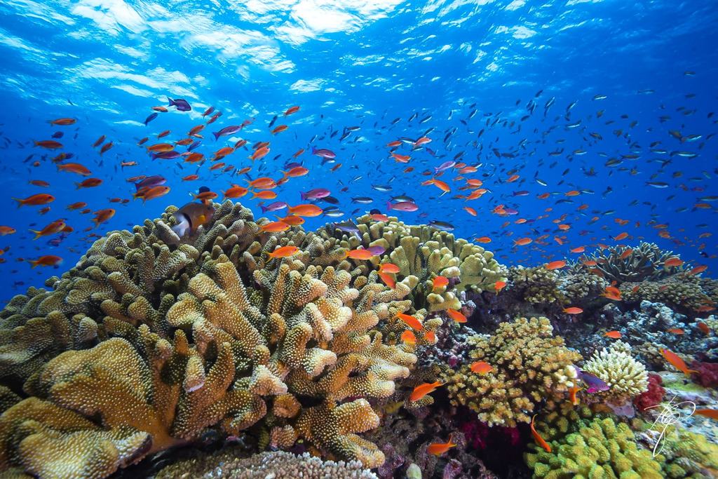 Fiji