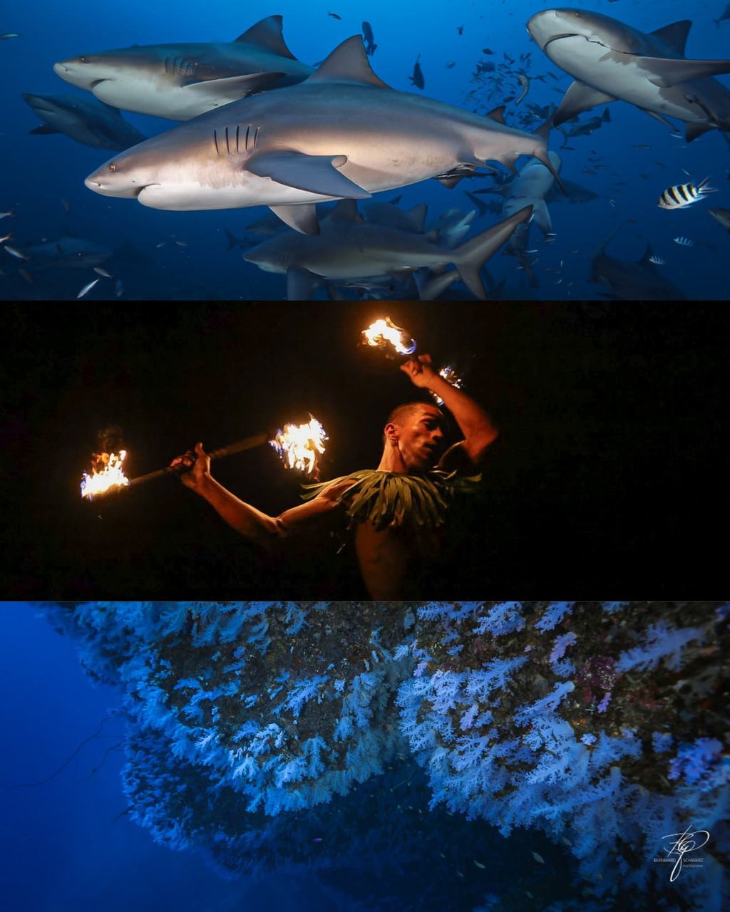 Fiji