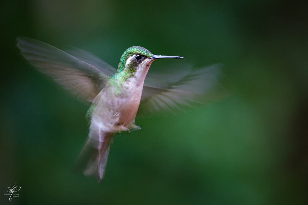 Guatemala