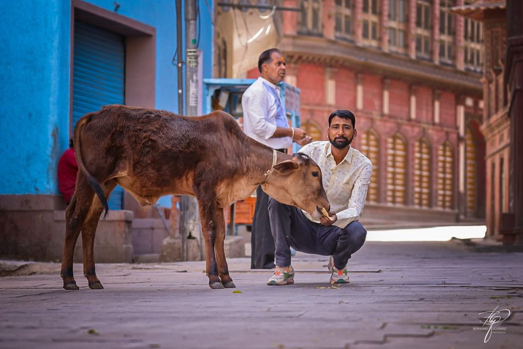 Rajasthan