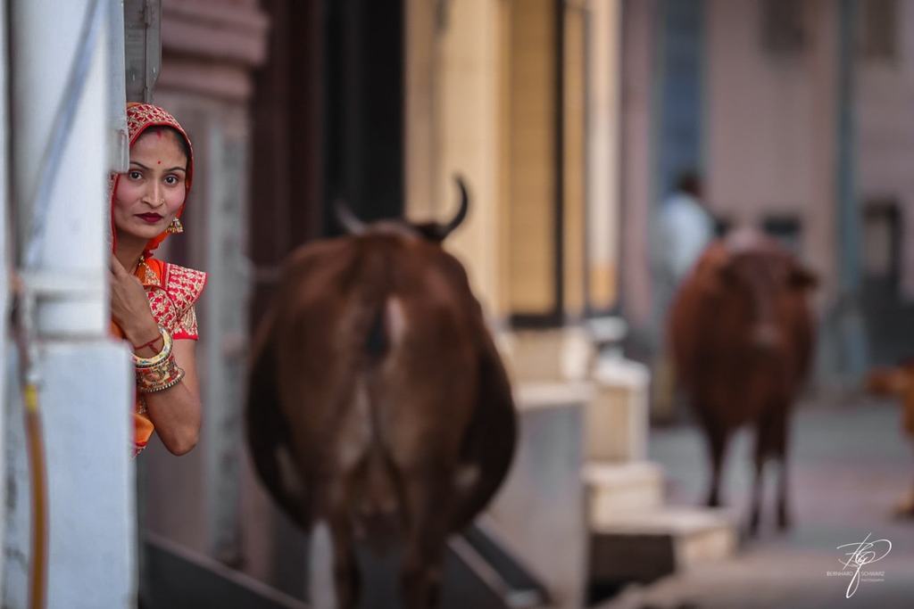 Rajasthan