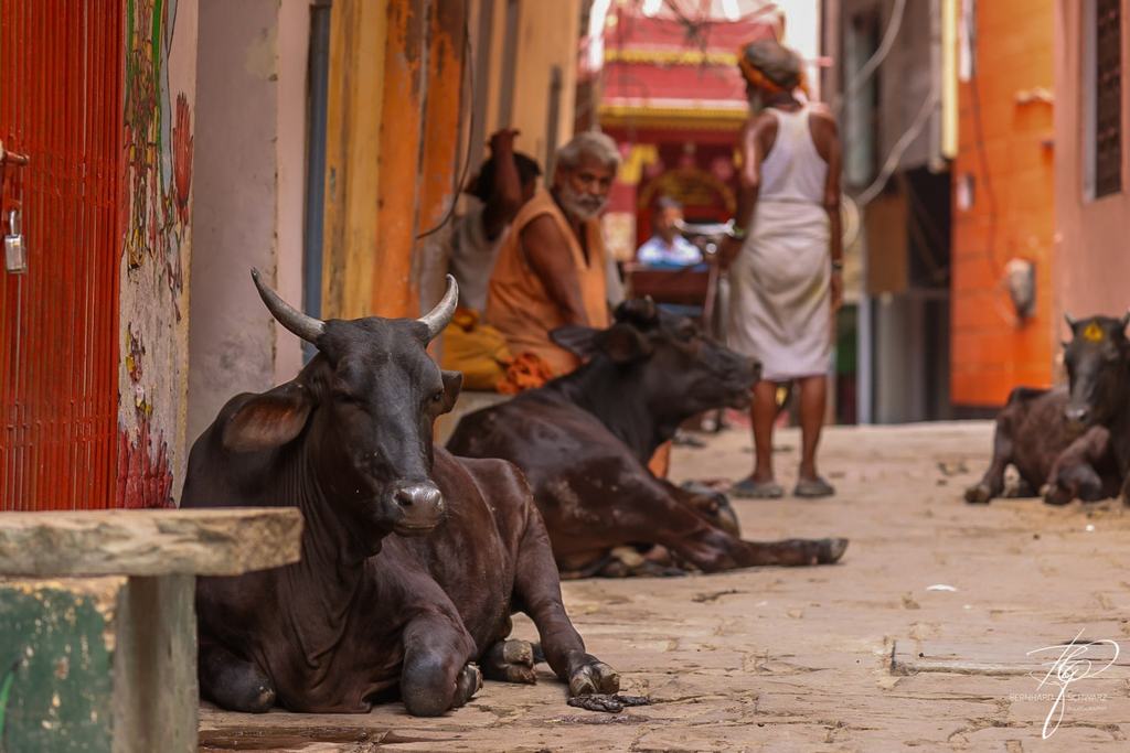 VARANASI