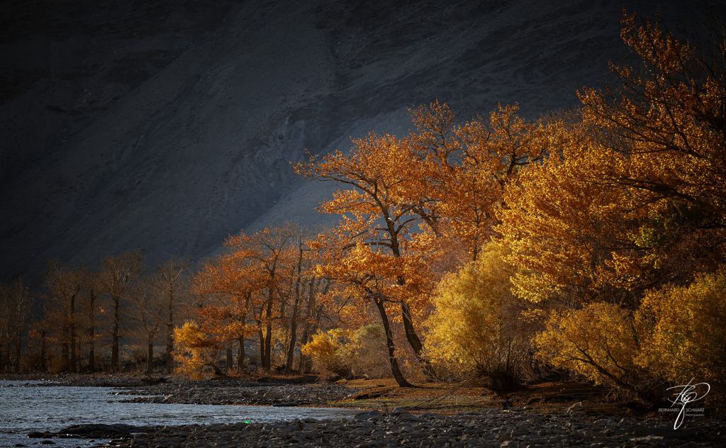 MONGOLIA