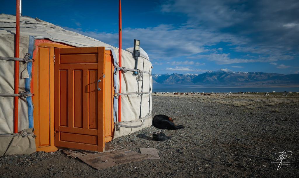 MONGOLIA (236)
