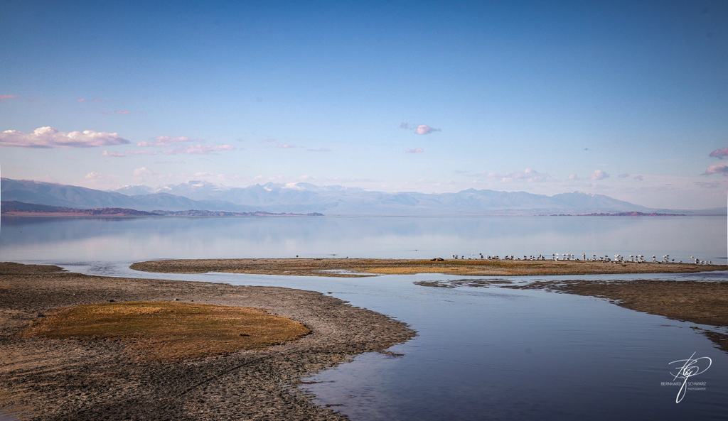 MONGOLIA