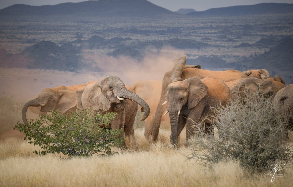 NAMIBIA