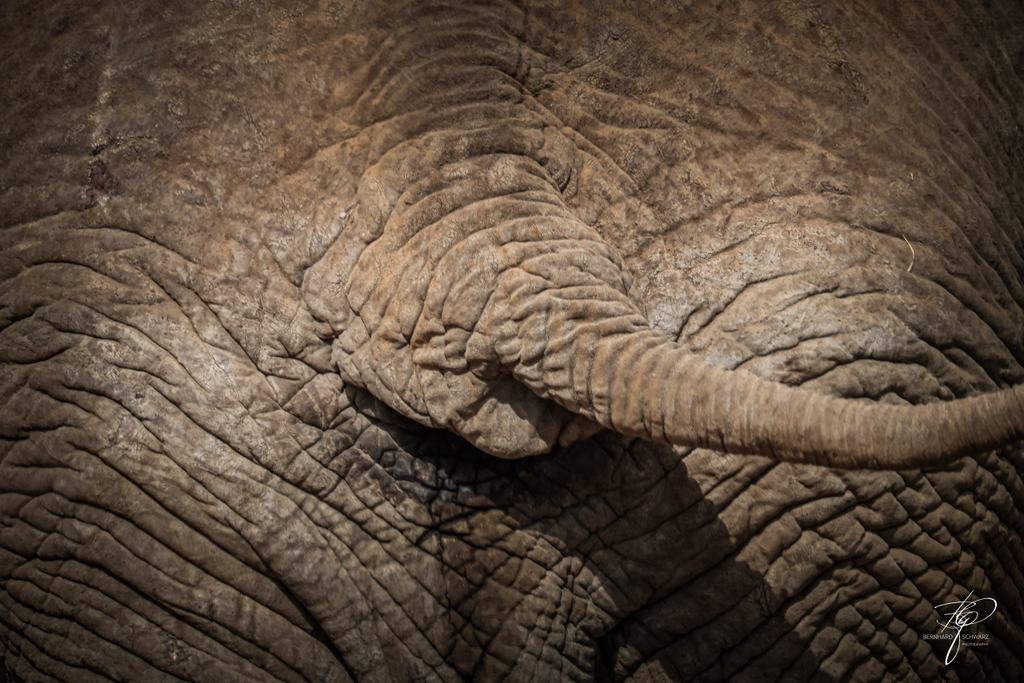 NAMIBIA