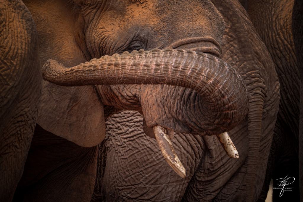 NAMIBIA