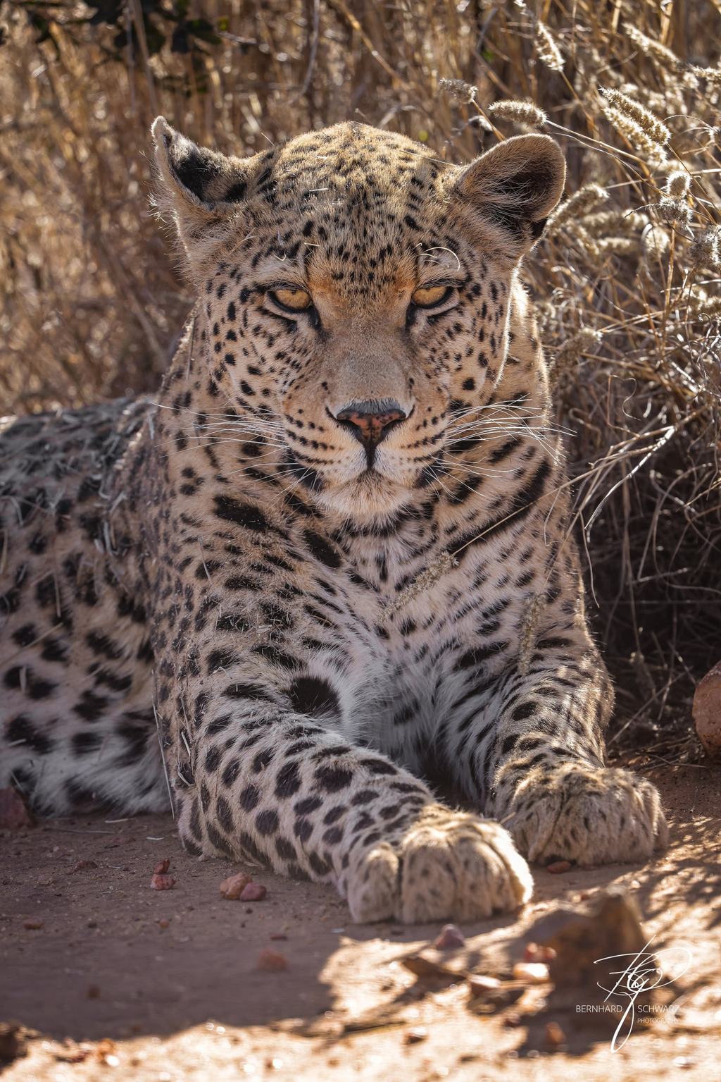NAMIBIA