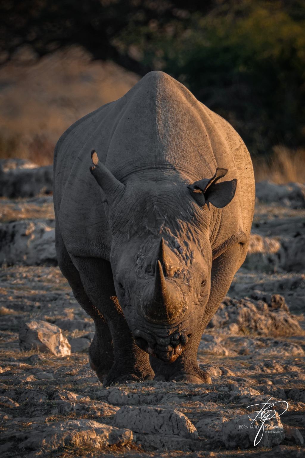 NAMIBIA