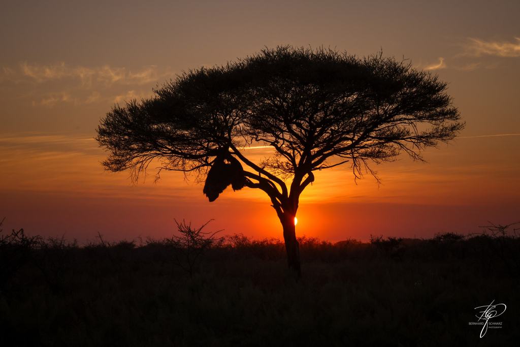 NAMIBIA