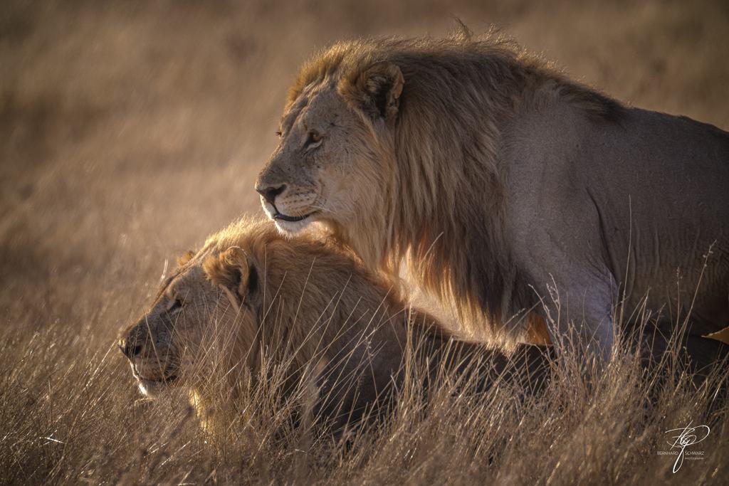 NAMIBIA