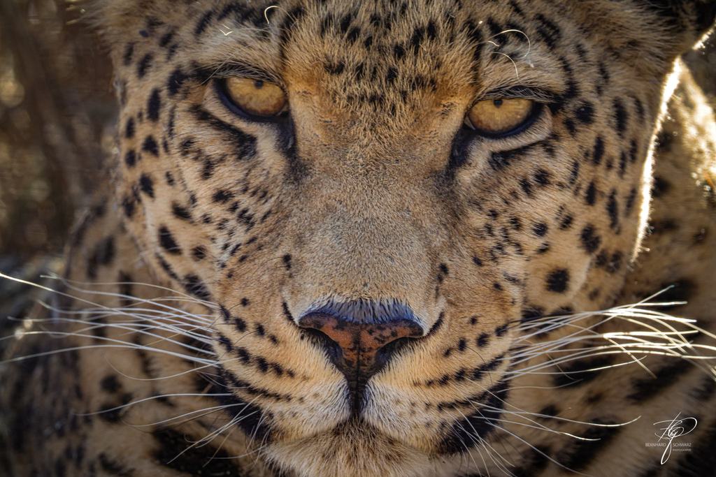 NAMIBIA