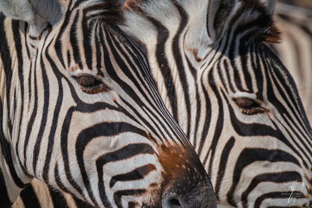 NAMIBIA