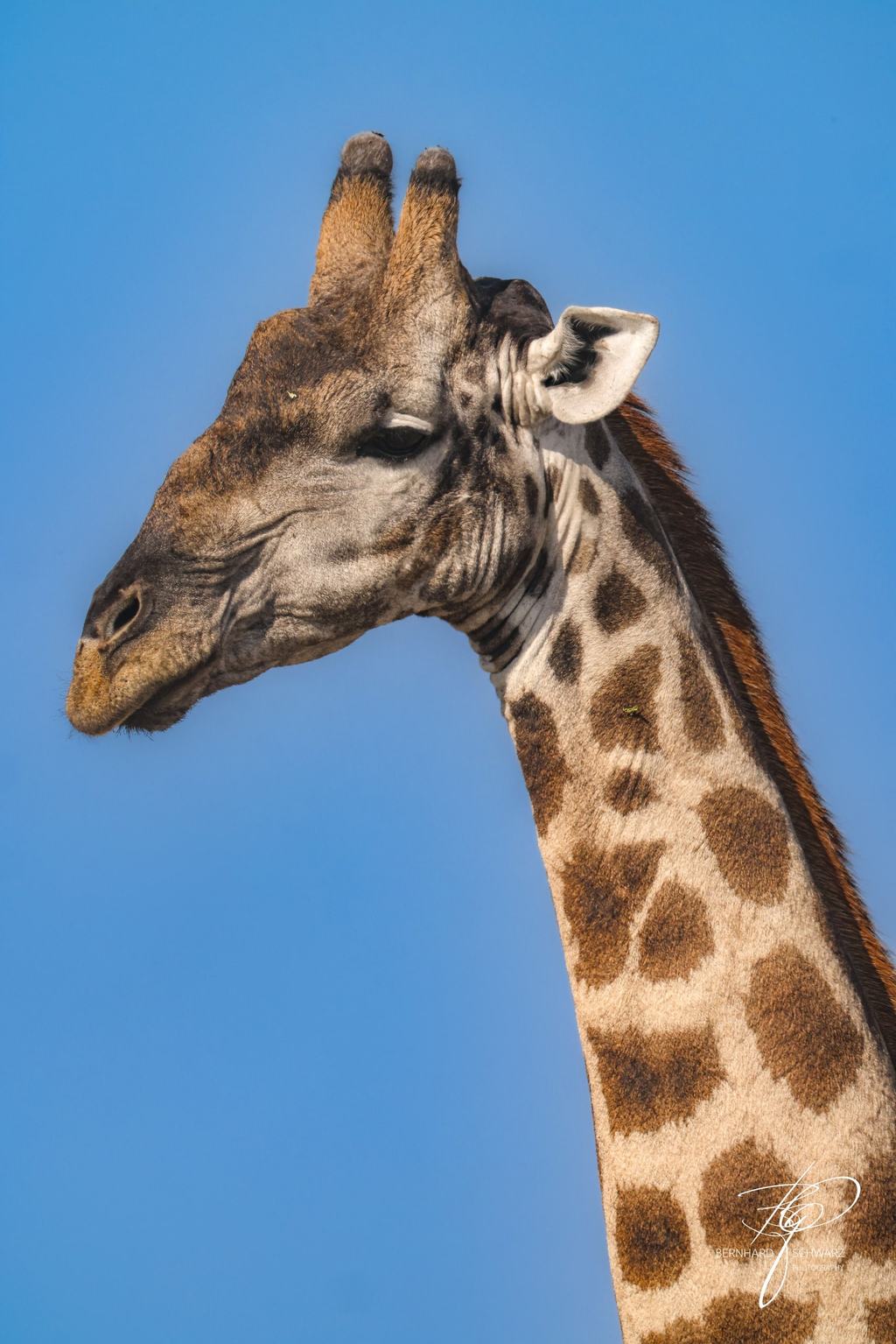 NAMIBIA