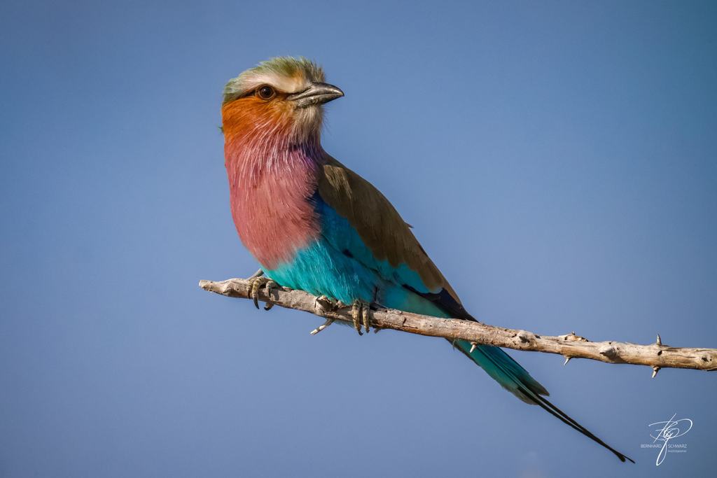 NAMIBIA