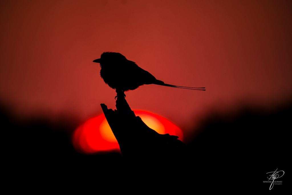 NAMIBIA