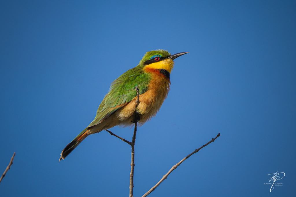 NAMIBIA