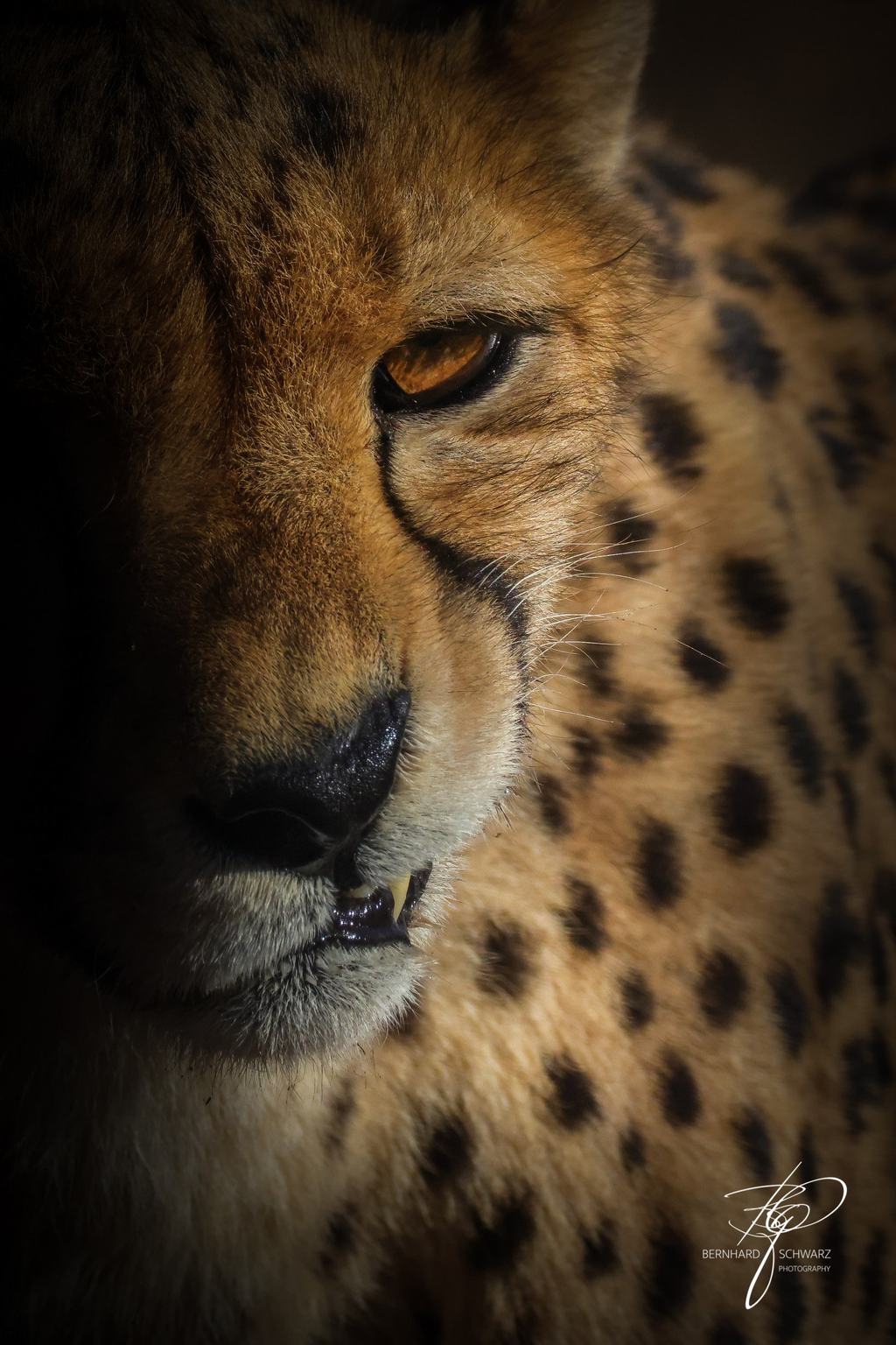 NAMIBIA