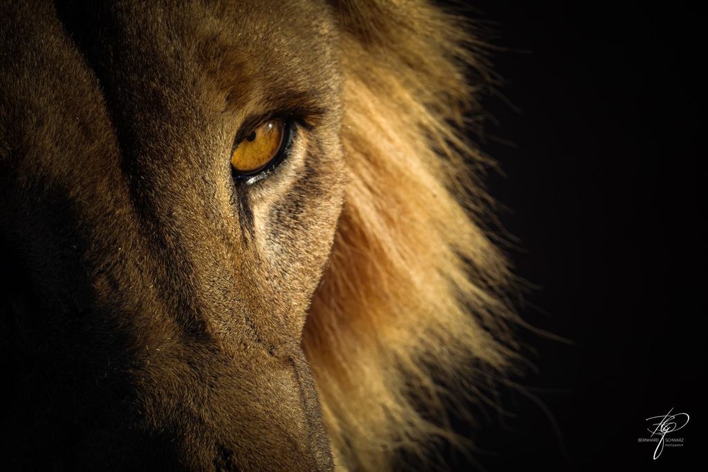 NAMIBIA