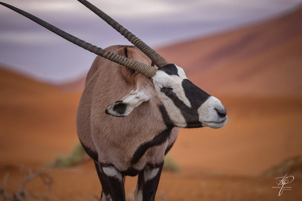 NAMIBIA