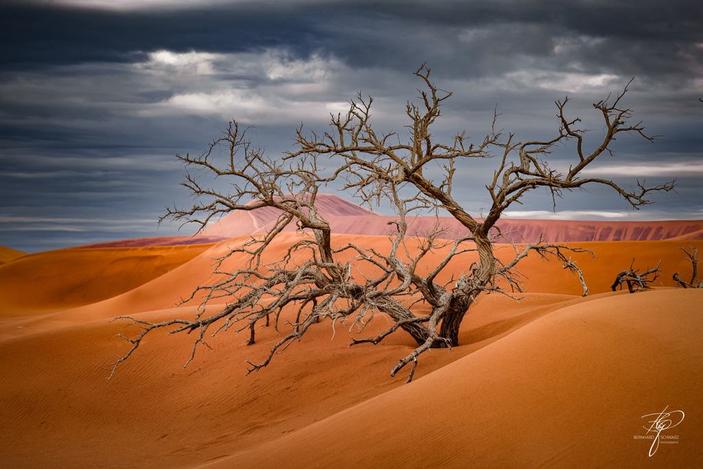 NAMIBIA