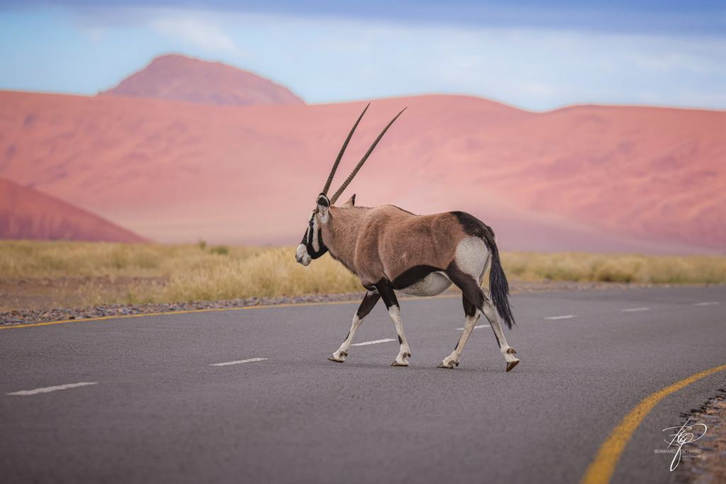 NAMIBIA