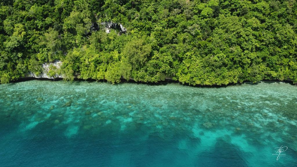 PALAU