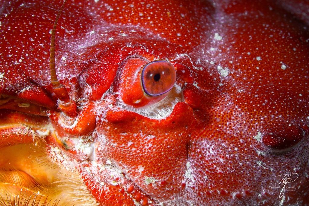Palau