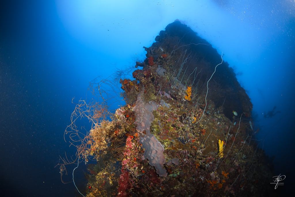 Palau