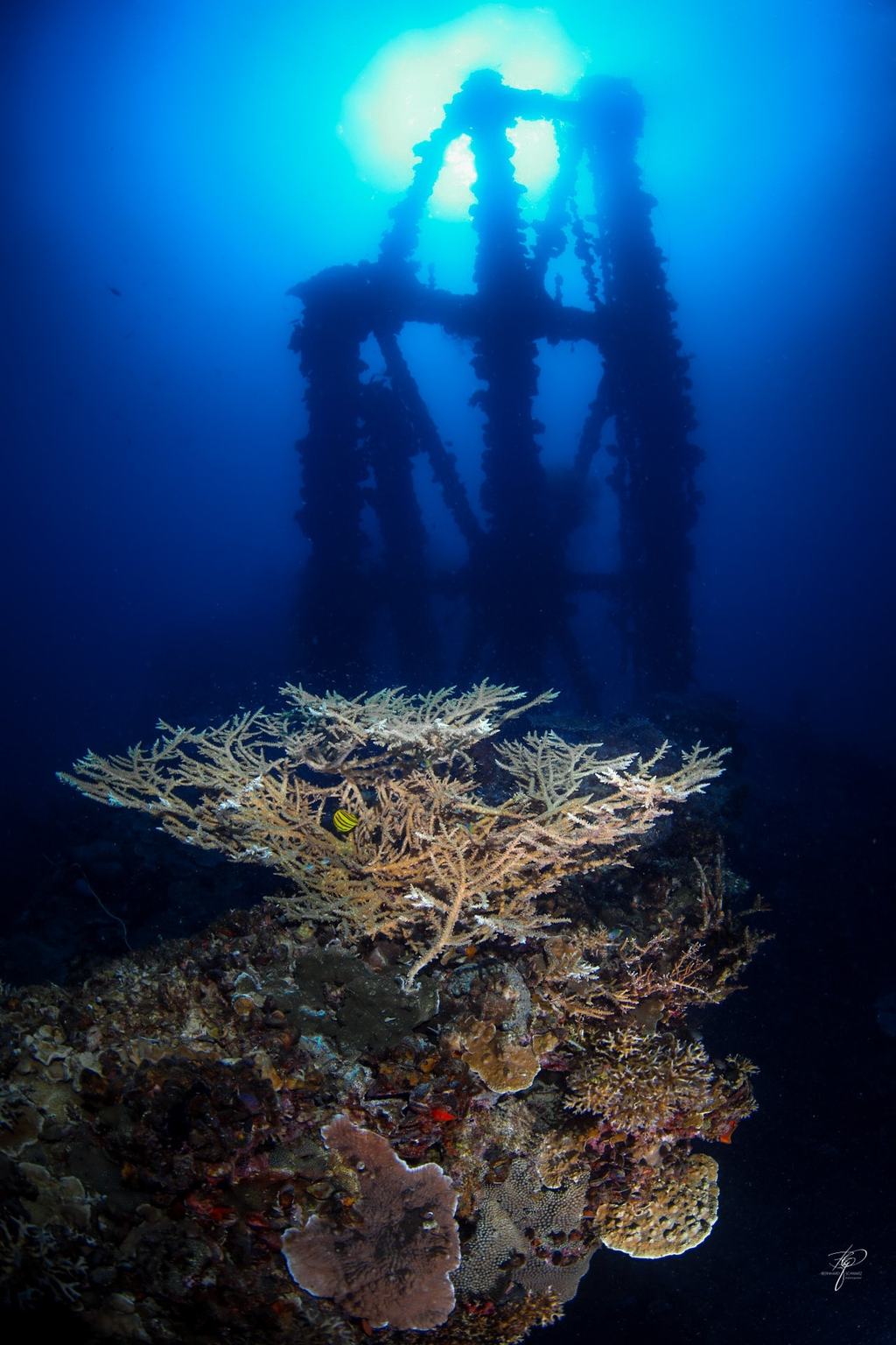 Palau