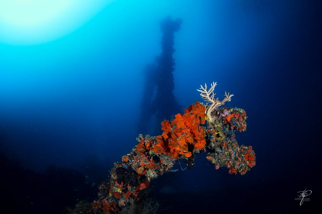 Palau