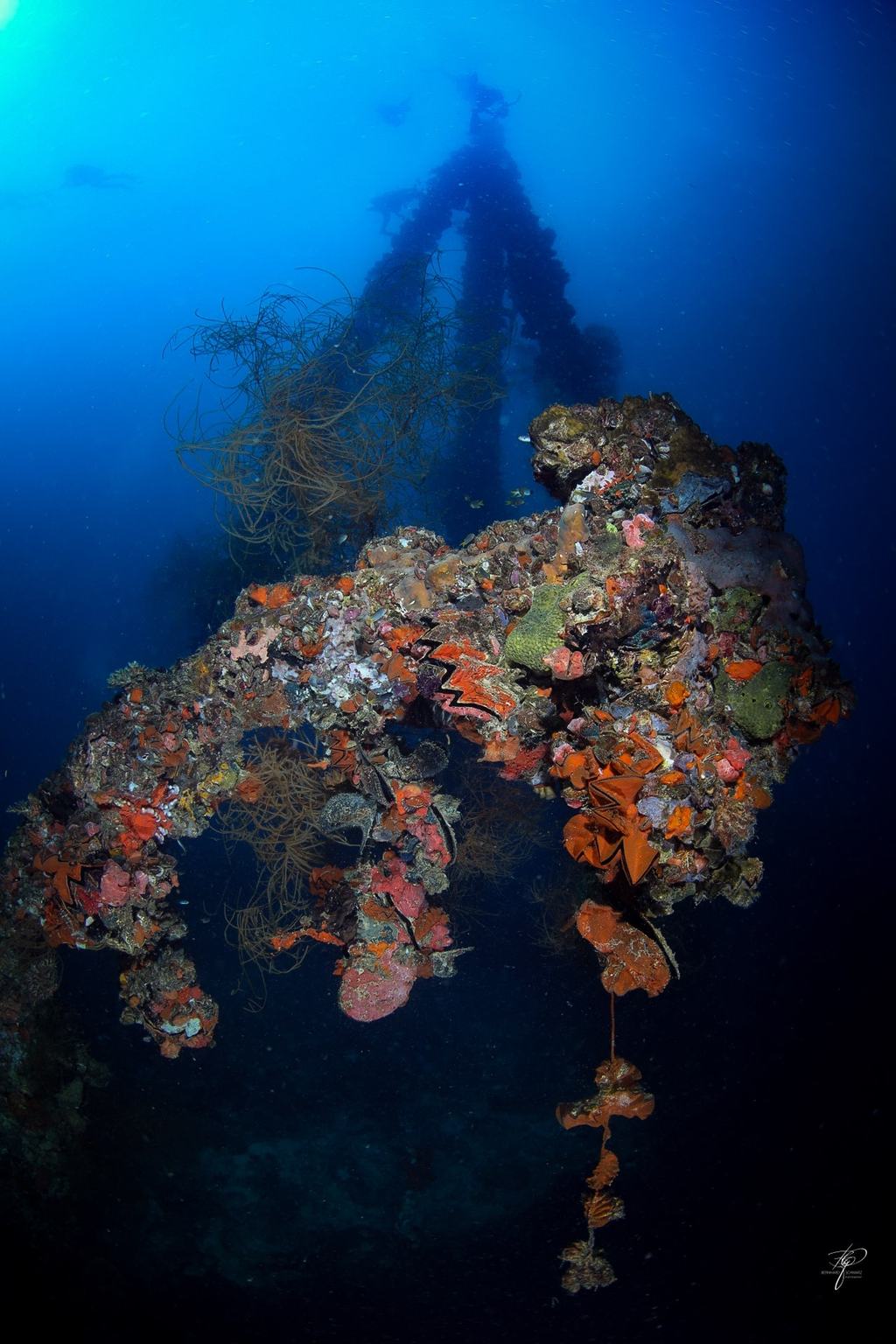 Palau