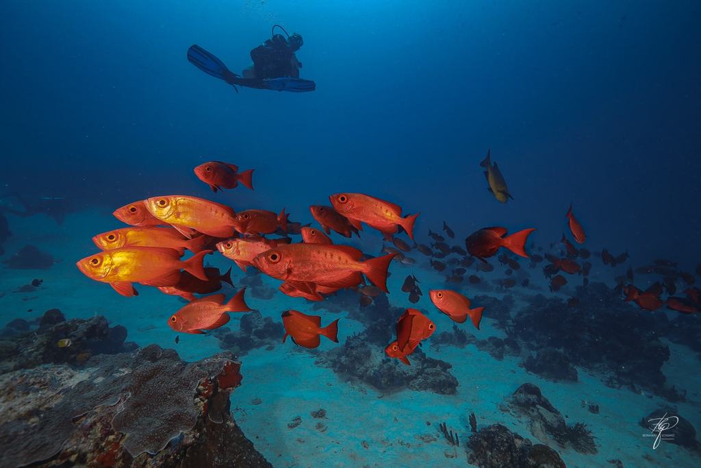 Palau