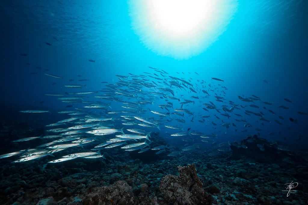 Palau