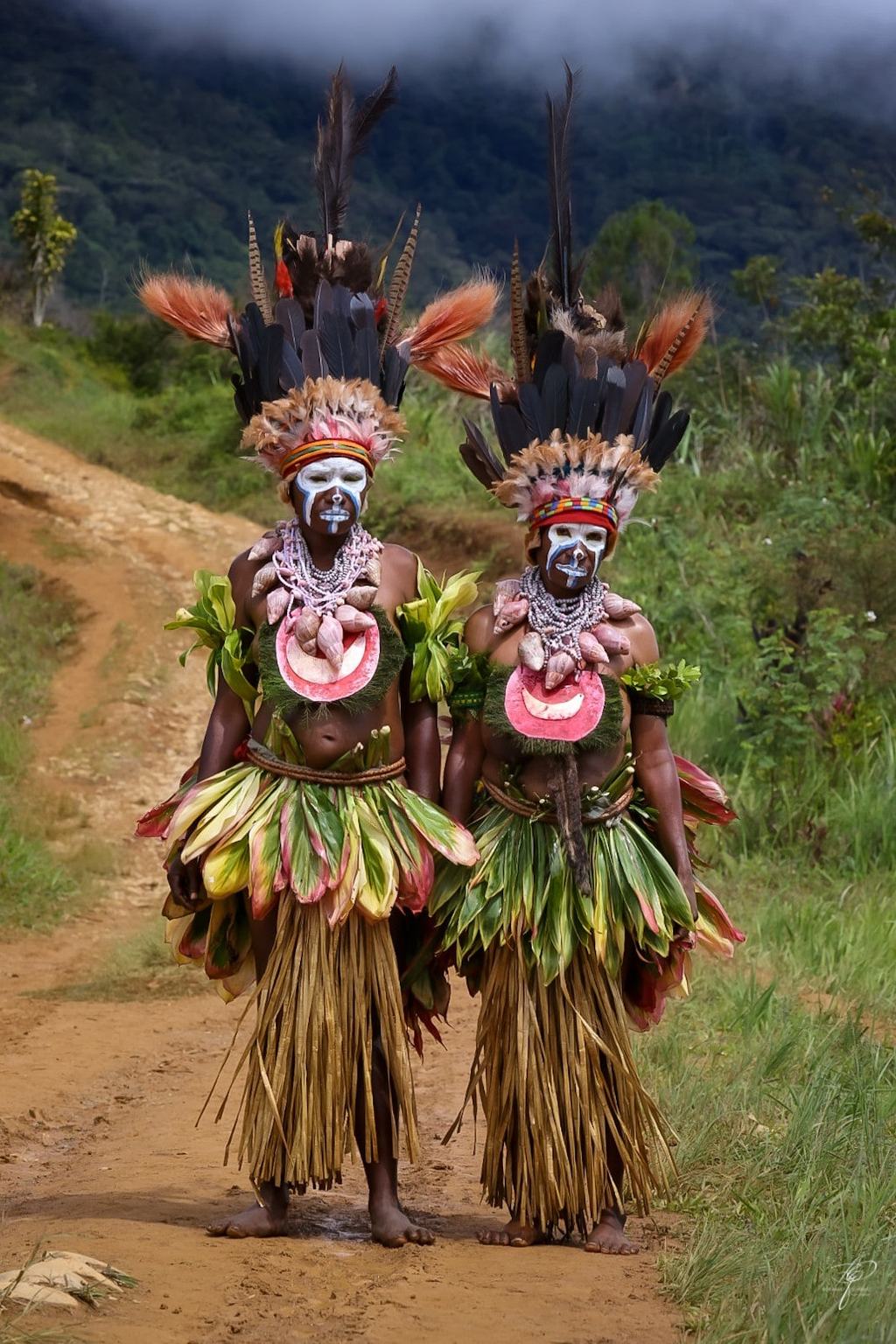 PNG