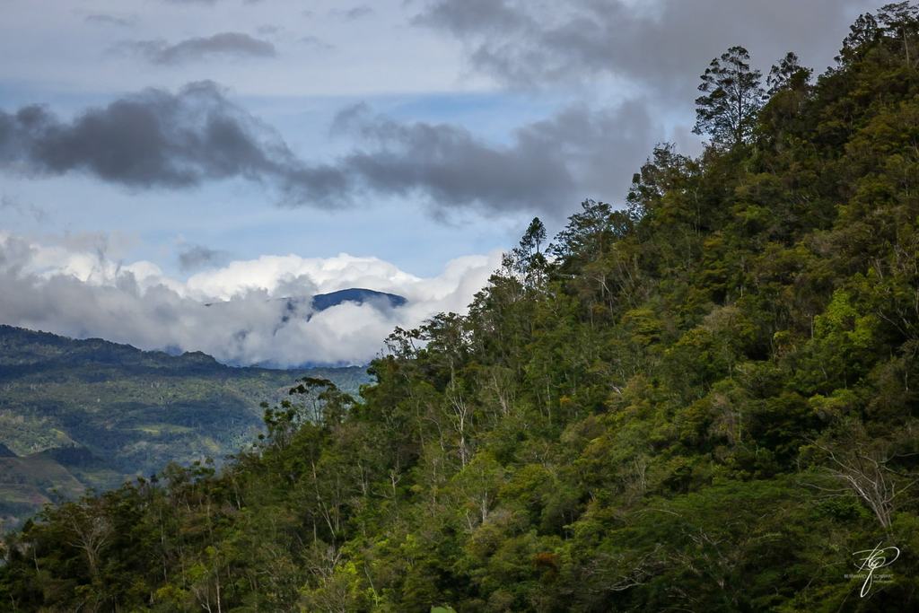 PNG