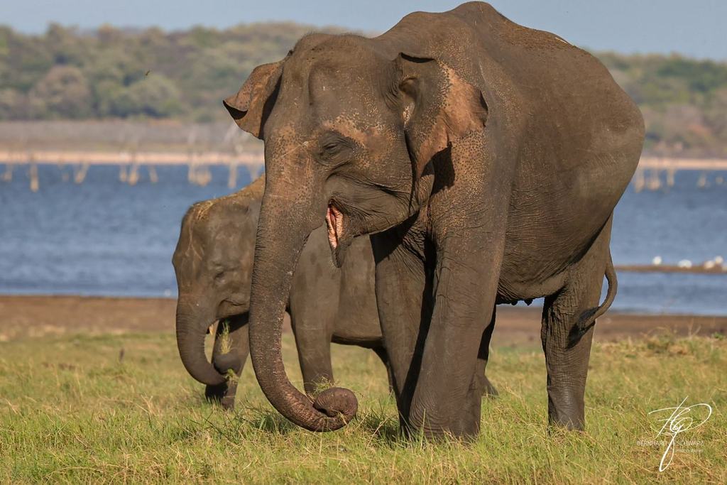 SRI LANKA