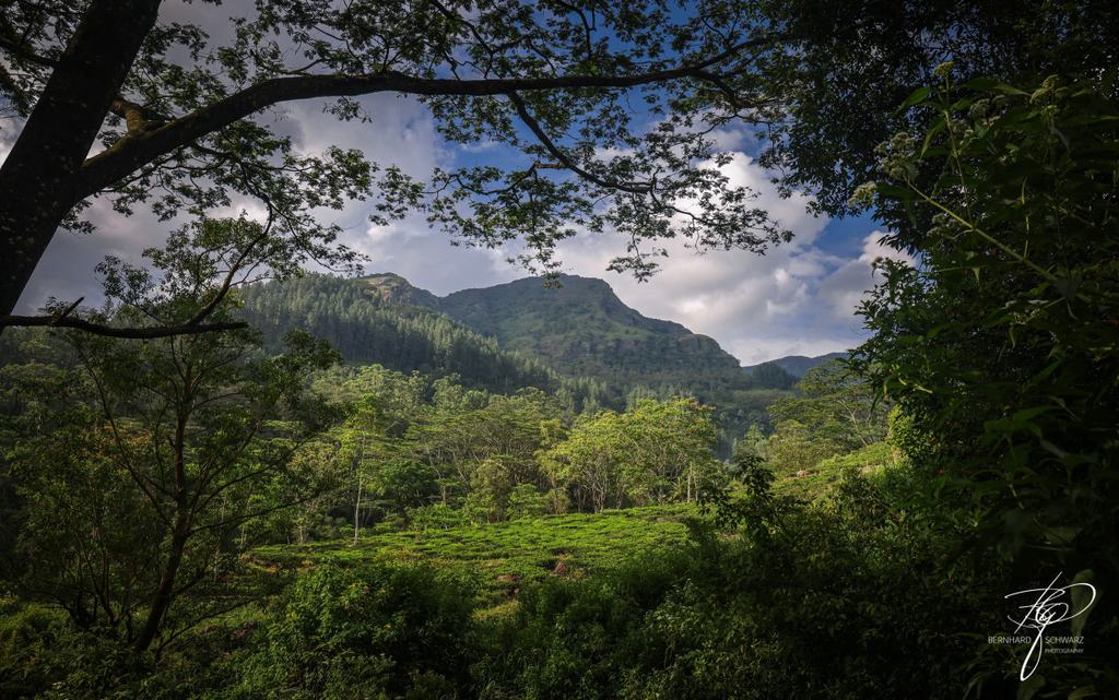 SRI LANKA