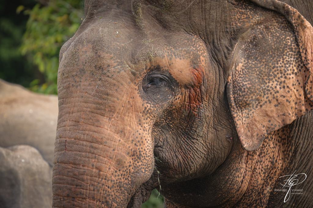 SRI LANKA