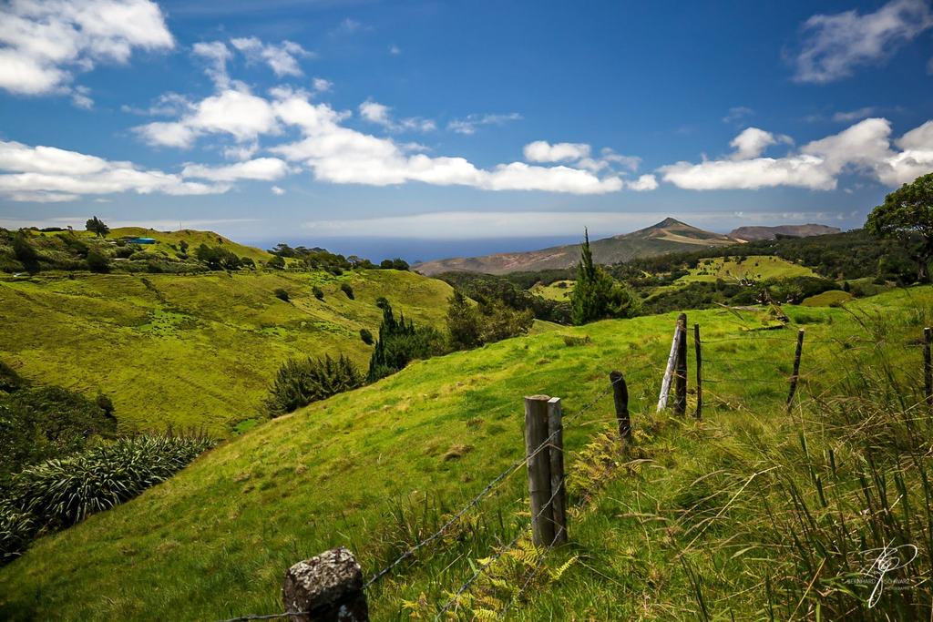 St. Helena