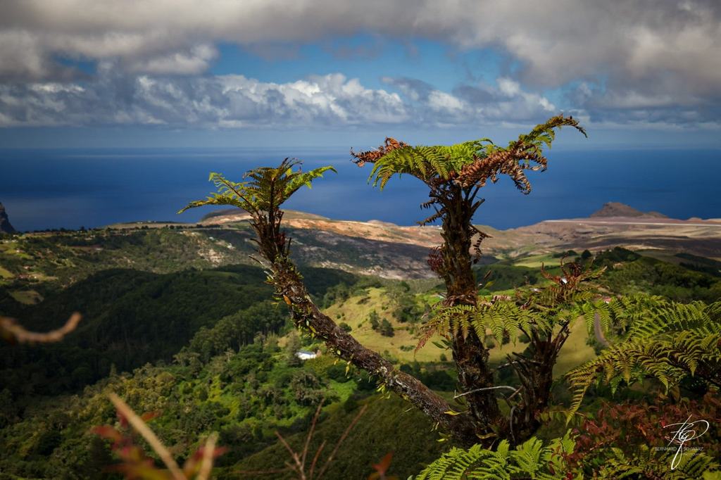 St. Helena