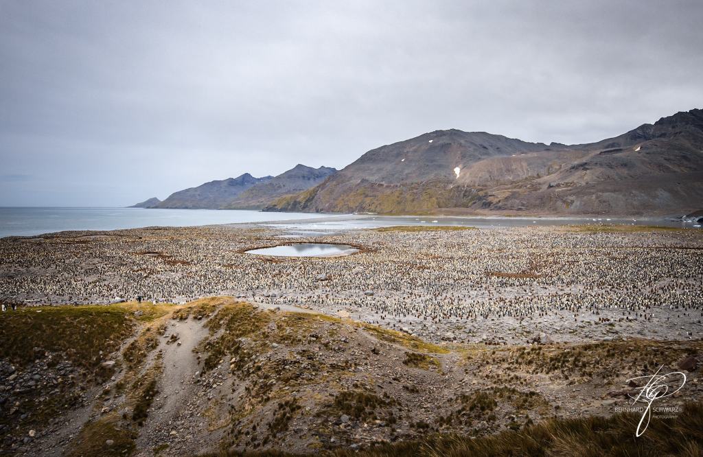 South Georgia